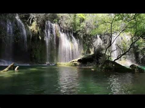 Bruit d une Cascade avec Rivière dans une Forêt pour se Détendre YouTube