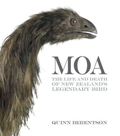 extinct moa brought  life scibooks extinct animals  zealand