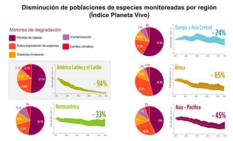 Pronunciado Declive De Biodiversidad En América Latina Tecnología