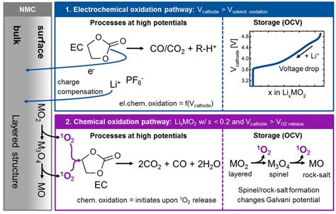 Oxygen Evolution And Its Effect On The Cycling Stability Of