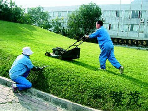 绿化养护与管理 繁茂古树名木保护（苏州）有限公司 江苏园林植物总医院