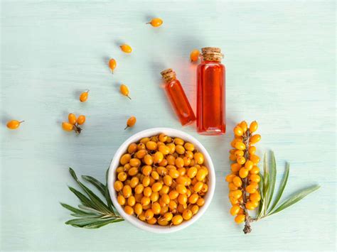 Sea Buckthorn Oil Benefits Of Sea Buckthorn Oil