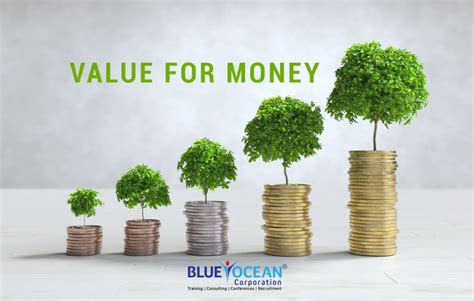 Value For Money Blue Ocean Academy India