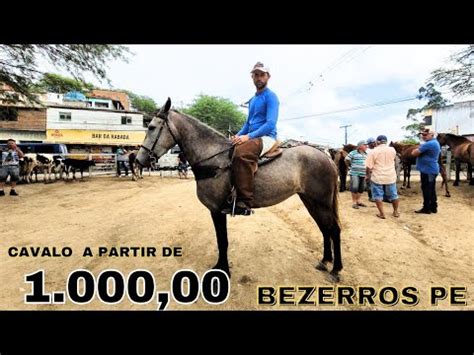 Feira De Cavalos Em Bezerros Pe S Bado Youtube