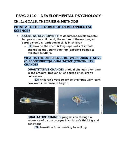 Psyc Developmental Psychology Test Notes Psyc