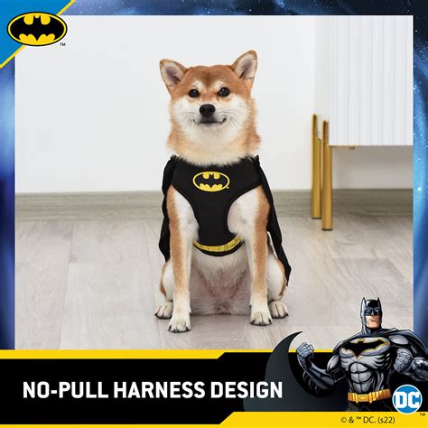 Arriba Imagen Antifaz De Batman Para Perro Abzlocal Mx