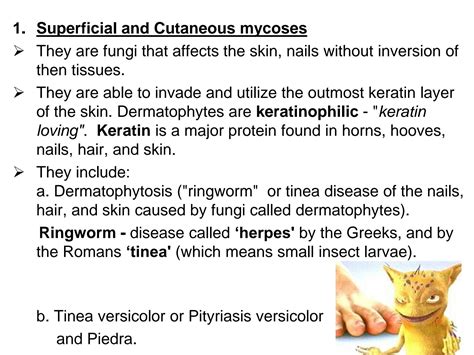 Solution Cutaneous And Superficial Mycoses Ppt Studypool