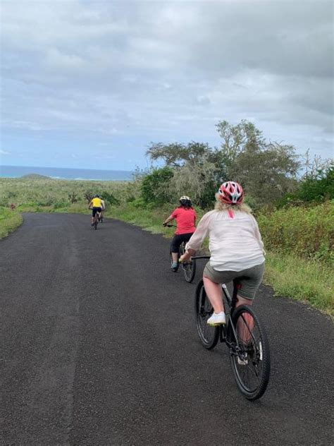 Galapagos Route Mit Dem Fahrrad Tortoise Bike Rute GetYourGuide