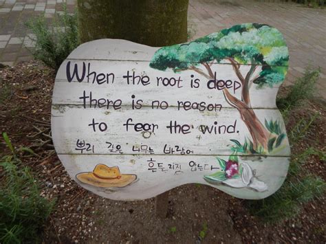 A Lighthouse of Quotes, Quotes from the Botanical Gardens of Jeju Island