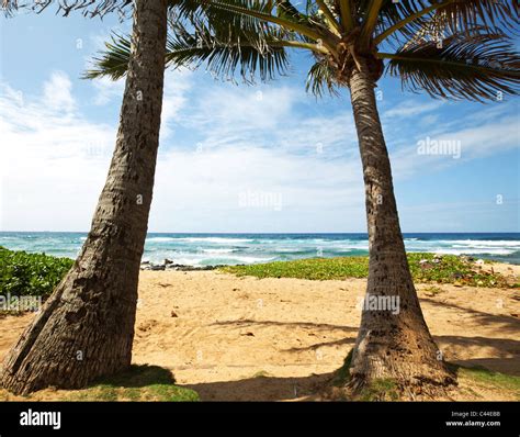 Beach scenery on Oahu island,Hawaii Stock Photo - Alamy