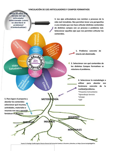 Organizador Flor Vinculaci N Ejes Campos Contenidos Vinculaci N De