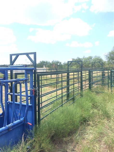 Cattle Alley Gate