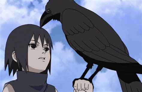 Kasugai Crows | Demon Slayer Roleplay Wiki | Fandom