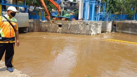 5 Truk Sampah Diangkut Dari Pintu Air Manggarai Didominasi Oleh Pohon