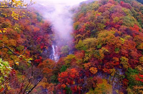 紅葉の全景が圧巻日光三名瀑・霧降ノ滝【栃木県日光市】｜and Trip たびびと