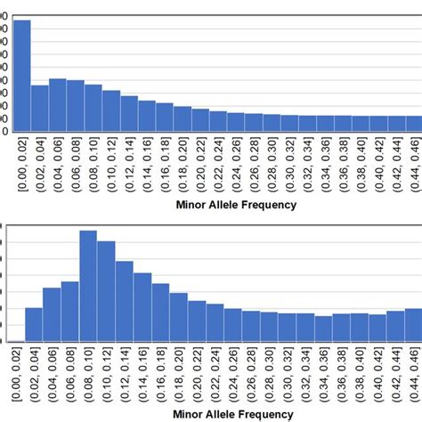 Distribution Of Minor Allele Frequency Of Snp Markers On The Eastern