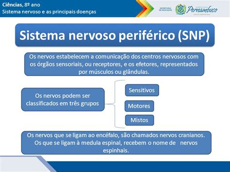 Ciências Ensino Fundamental 8° Ano Sistema Nervoso E As Principais