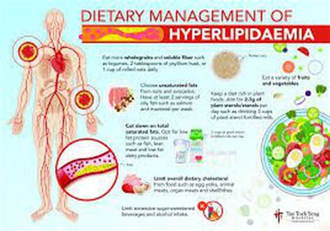 Treatment Of Hyperlipidemia Medizzy