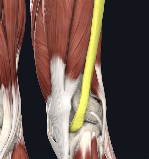 What is ITB Friction Syndrome? | The Physios