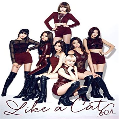 Aoa Like A Cat Aoa