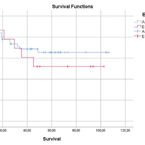 Kaplan Meier Curve On The Overall Survival Distributions According To