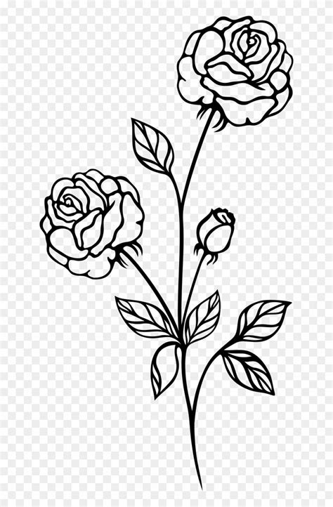 Rose Black And White Clip Art Flowers Roses - Rose Plant Black And ...