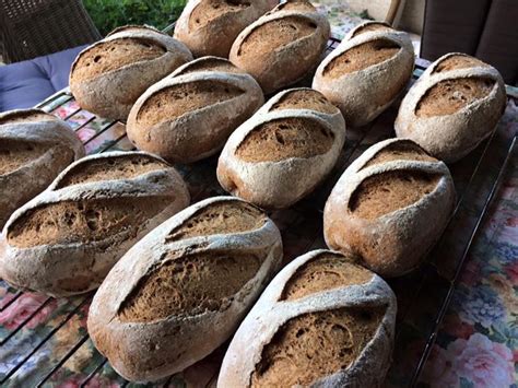 Volkorenbrood En Tartelettes Bakken Vol Passie