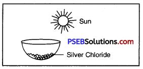 Pseb Th Class Science Important Questions Chapter Chemical