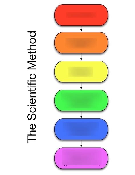 The Scientific Method Diagram | Quizlet