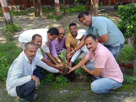 Congressmen Planted Saplings कांग्रेसियों ने किया पौधा रोपण