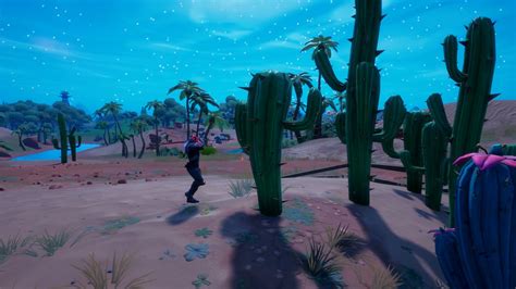 Where To Destroy Types Of Cactus Plant In Fortnite Pro Game Guides