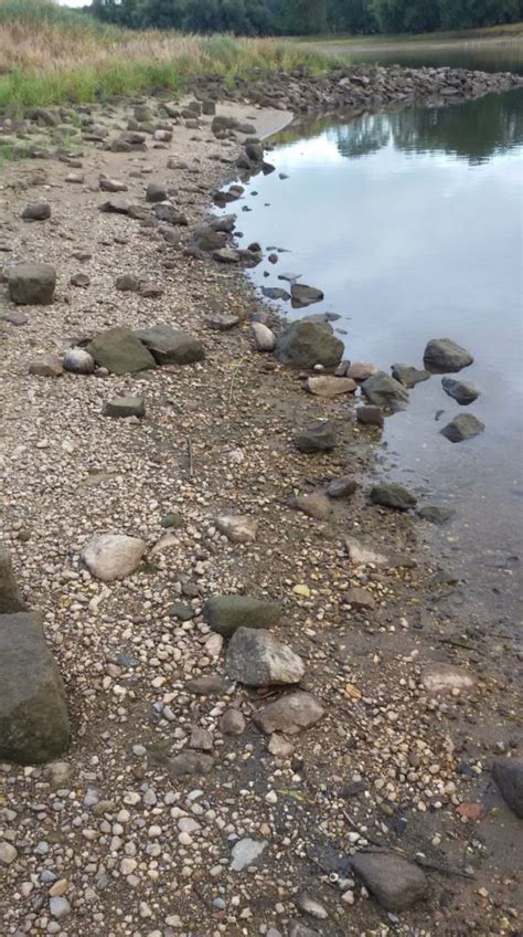 Mitteldeutsche Zeitung Ebbe In Der Elbe Niedrige Wasserst Nde Bremsen