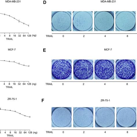 Andro Trail Prompts Breast Cancer Cells Gsdme Cleavage A Cell Download Scientific Diagram