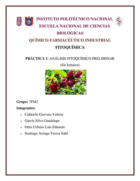 Fitoqu Mica Reporte Pr Ctica Instituto Polit Cnico Nacional Escuela