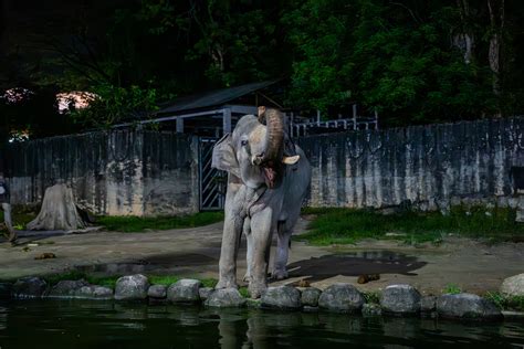 Malaysia Truly Asia - Zoo Taiping & Night Safari