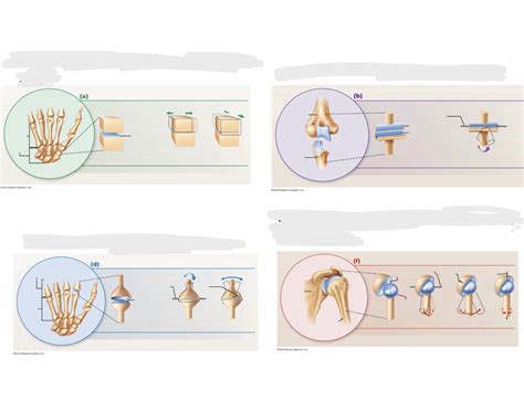 types  range  motion printable worksheet