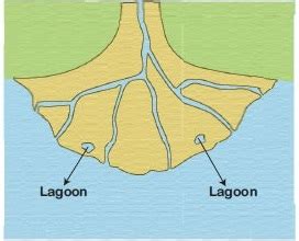 Water Cycle Form 3 Geography Secondary School Esoma KE