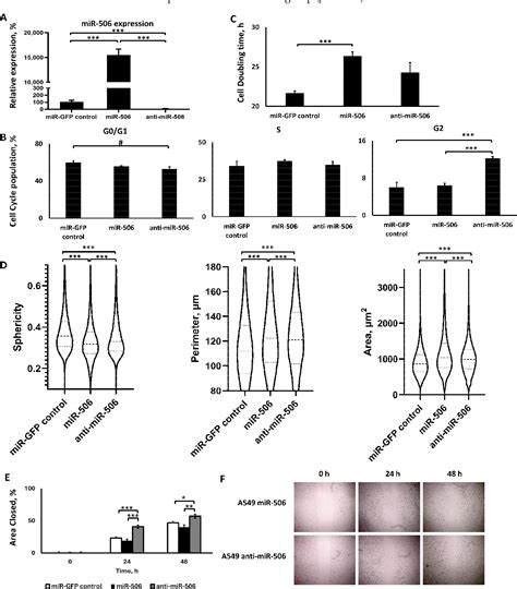 Figure From Stable Dual Mir And Mir Upregulation Inhibits