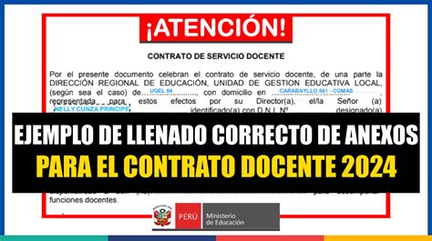 IMPORTANTE Ejemplo De Llenado Correcto De Anexos Para El Contrato