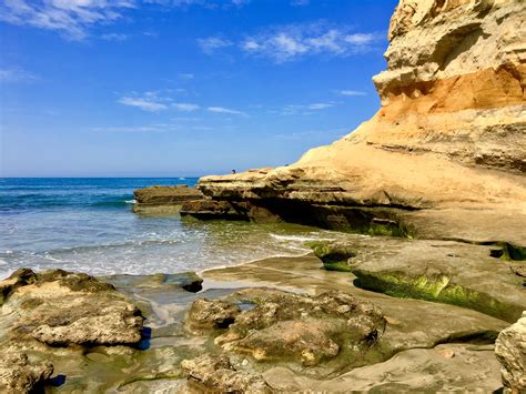 Torrey Pines State Park, CA | State parks, Torrey pines, Torrey