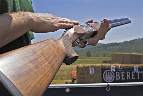 Beretta 690 Field I The Distinguished Hunter