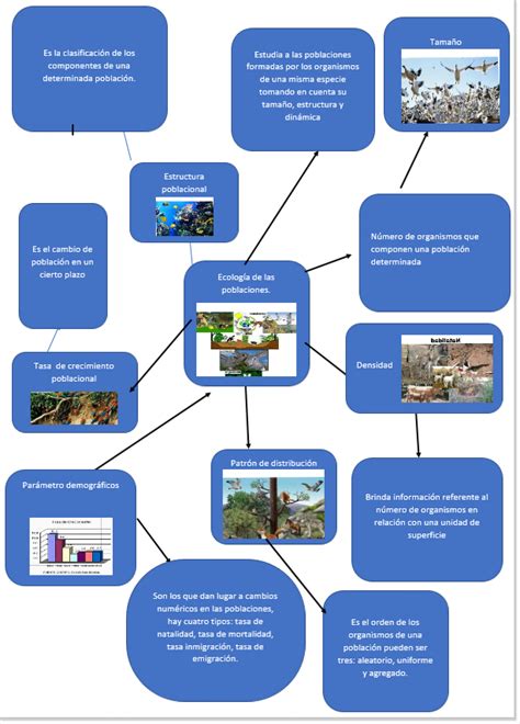 Mapa mental ecológica de poblaciones