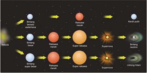 Kelahiran Bintang Science Quizizz