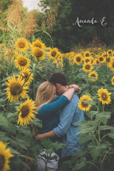 Sunflower Photoshoot Photography Pics Fields Photography Couple