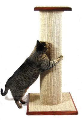 The Best Cat Scratching Posts Of Tested By The Spruce Pets