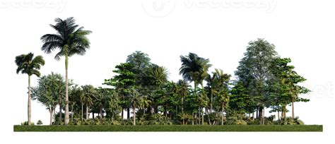 3ds Rendering Image Of 3d Rendering Trees On Grasses Field 8880436 Png