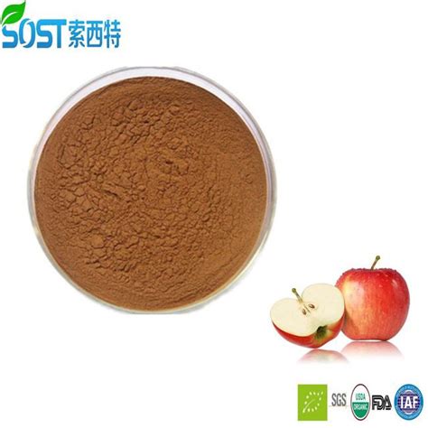 Best Apple Extract Powder Manufacturers, Suppliers and Factory ...