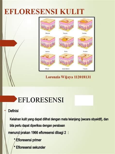 Efloresensi Kulit Lorenzia Wijaya Pdf