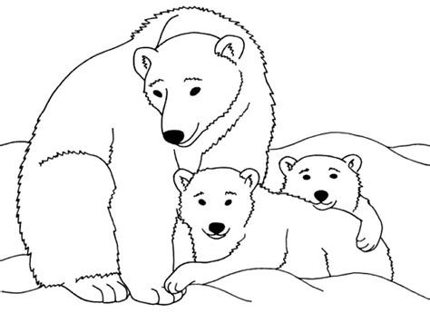 Desenhos De Urso Para Colorir Pop Lembrancinhas