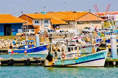 Le Port De La Cotini Re Ol Ron